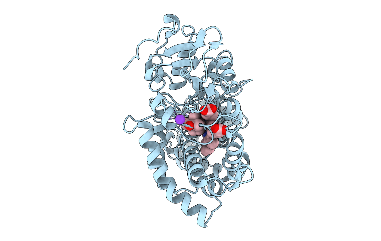 4L49 image