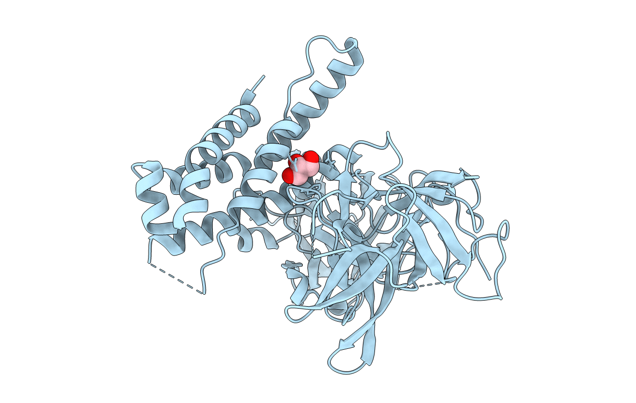 4L4I image