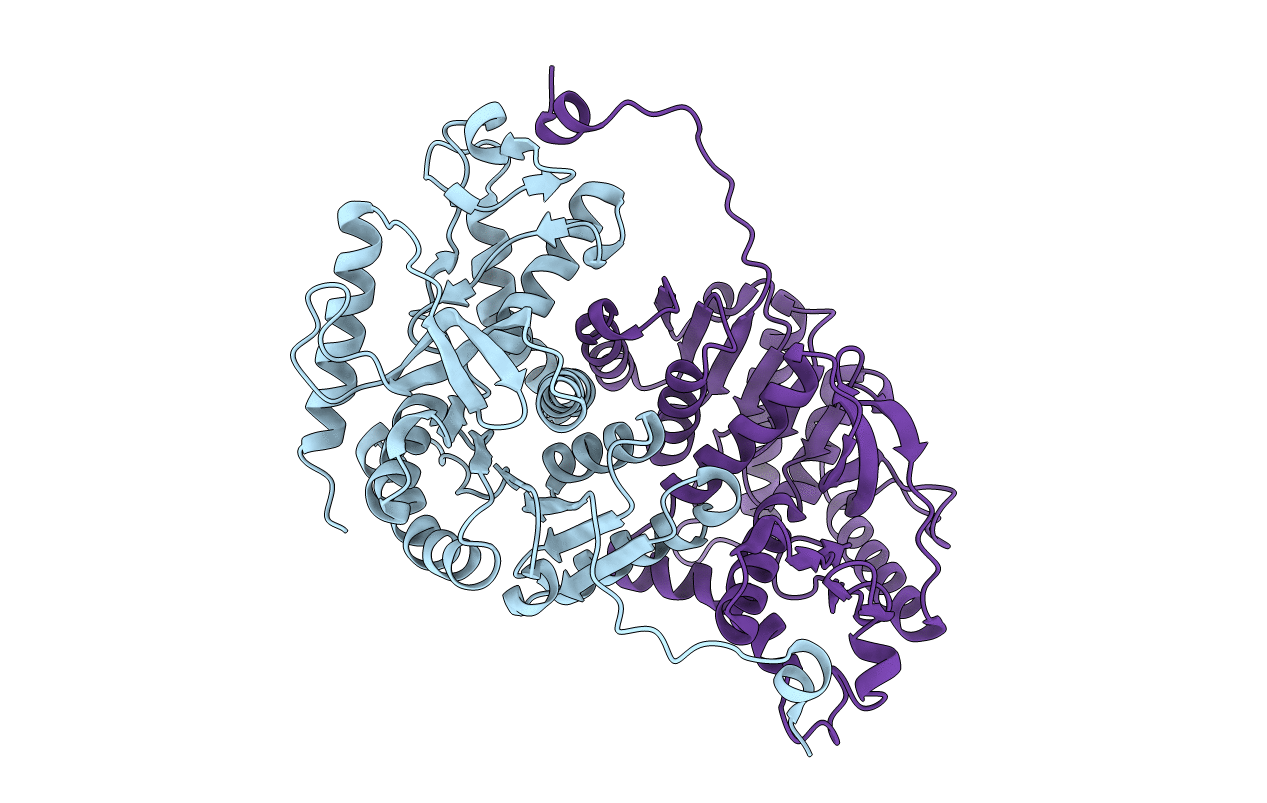 4L4R image