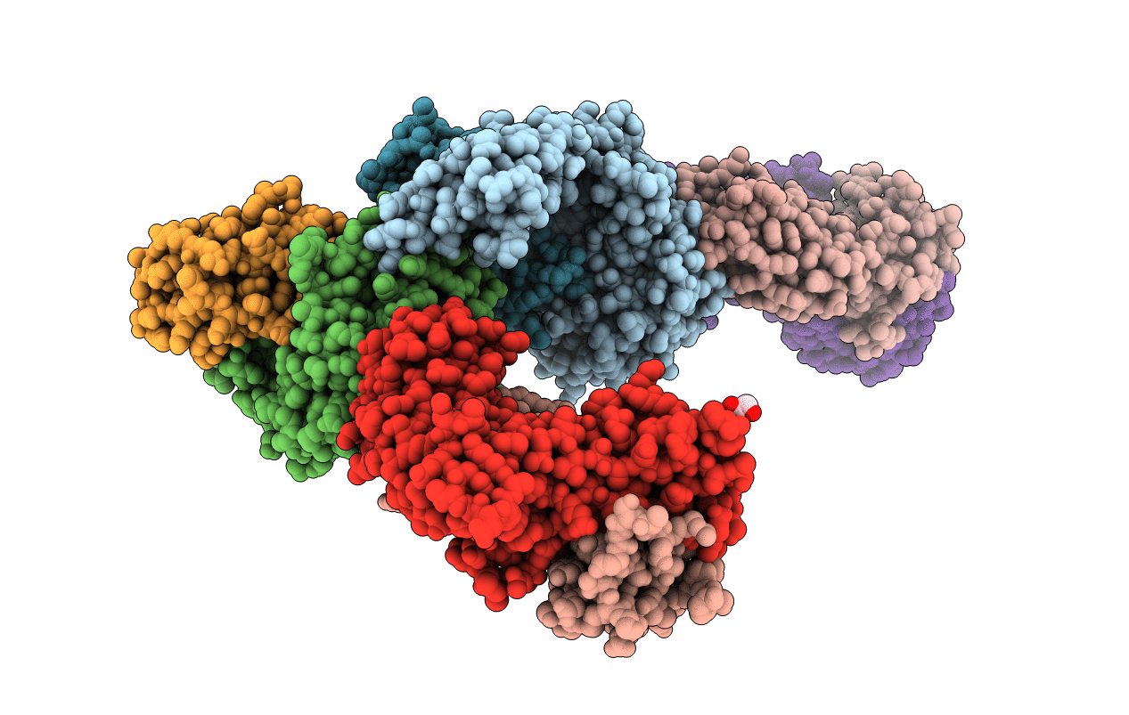 4L4V image