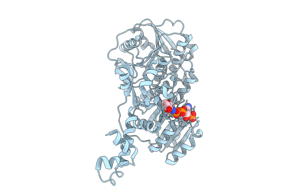 4L4X image