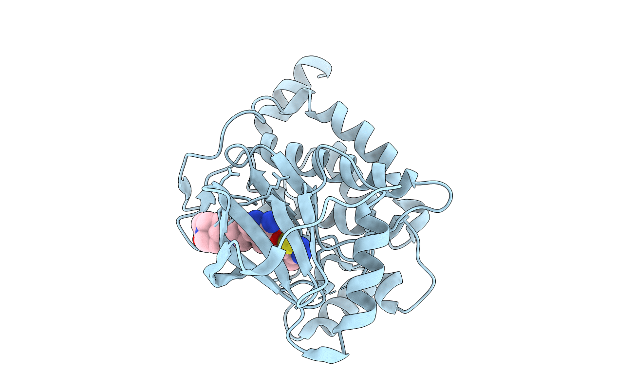 4L52 image