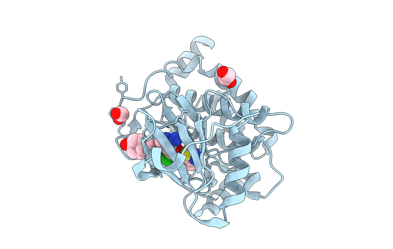4L53 image