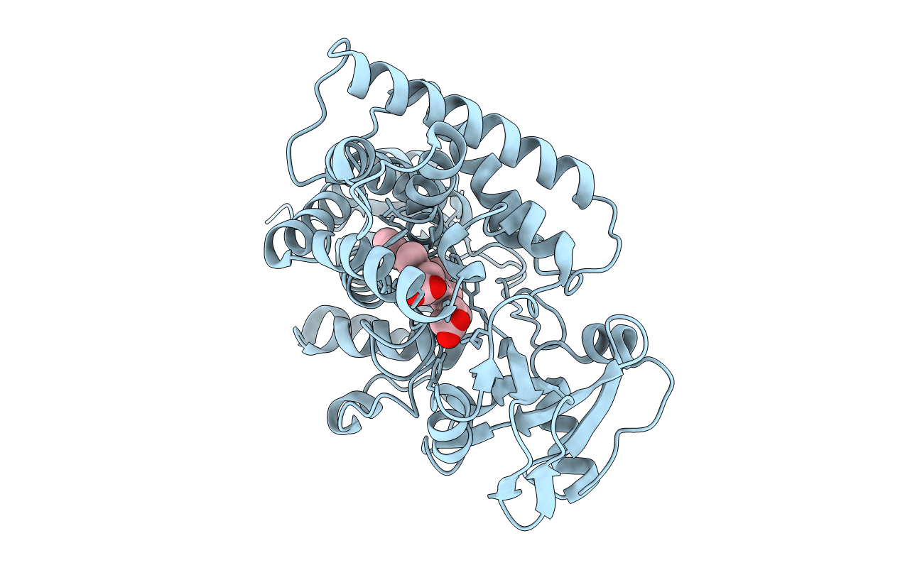 4L54 image