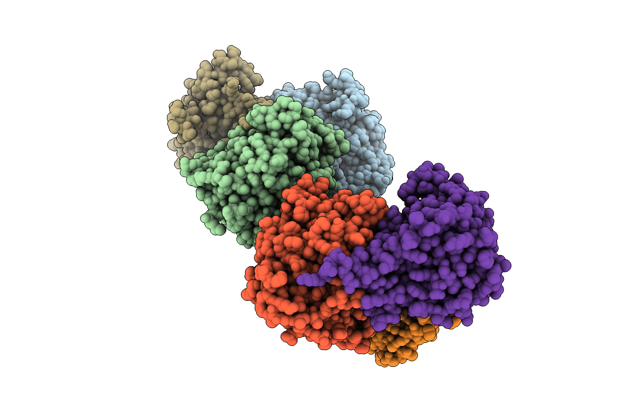 4L6I image