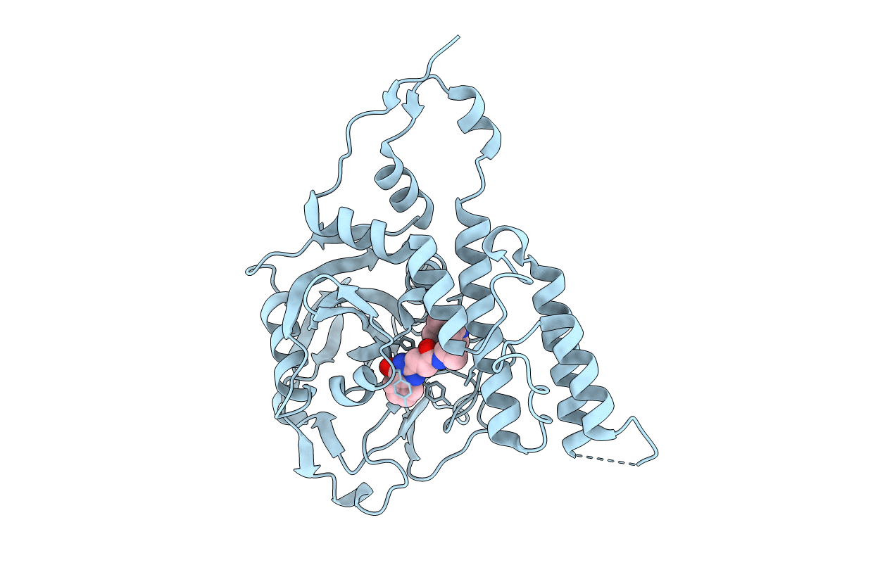 4L6Z image