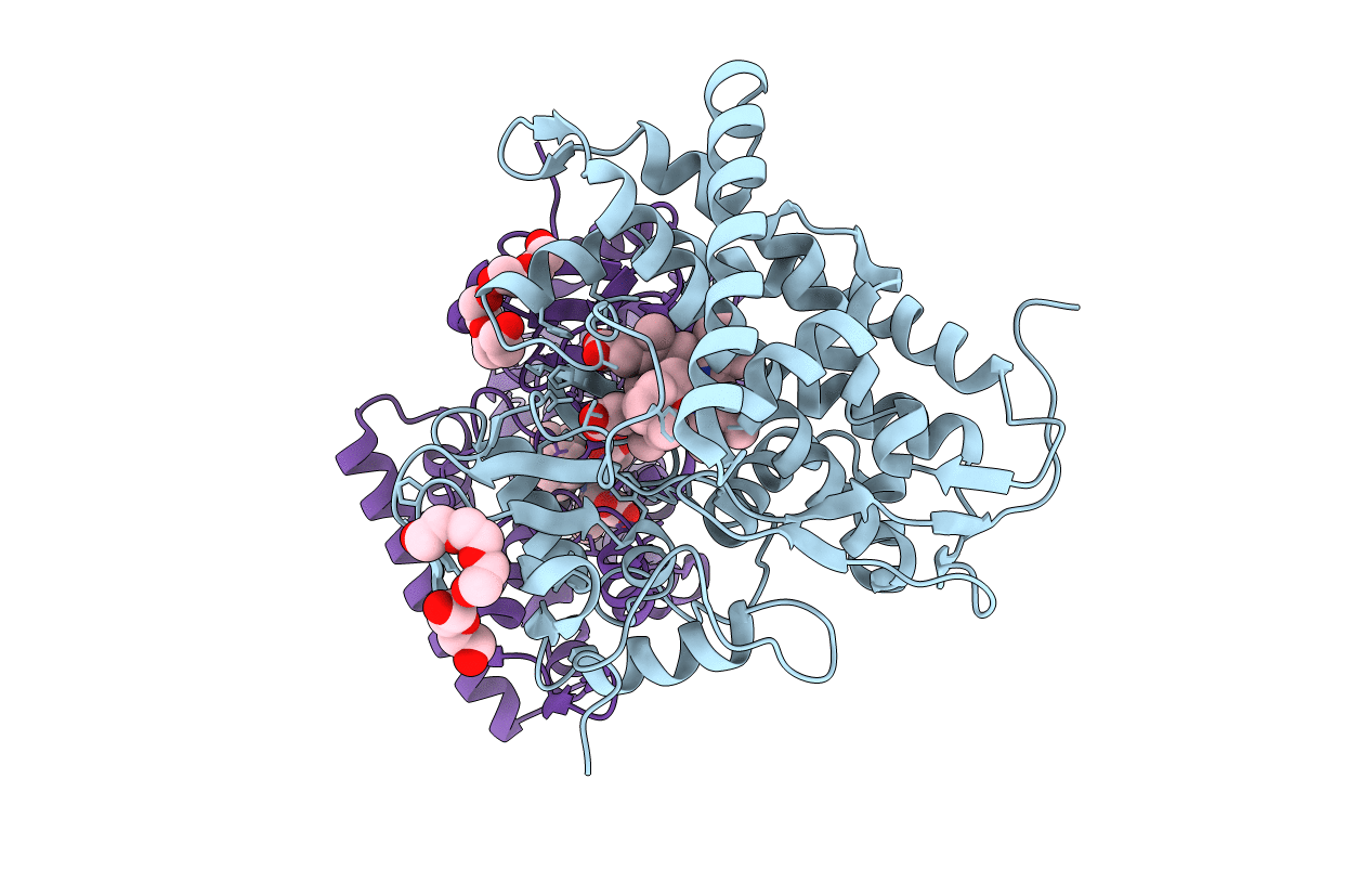 4L77 image