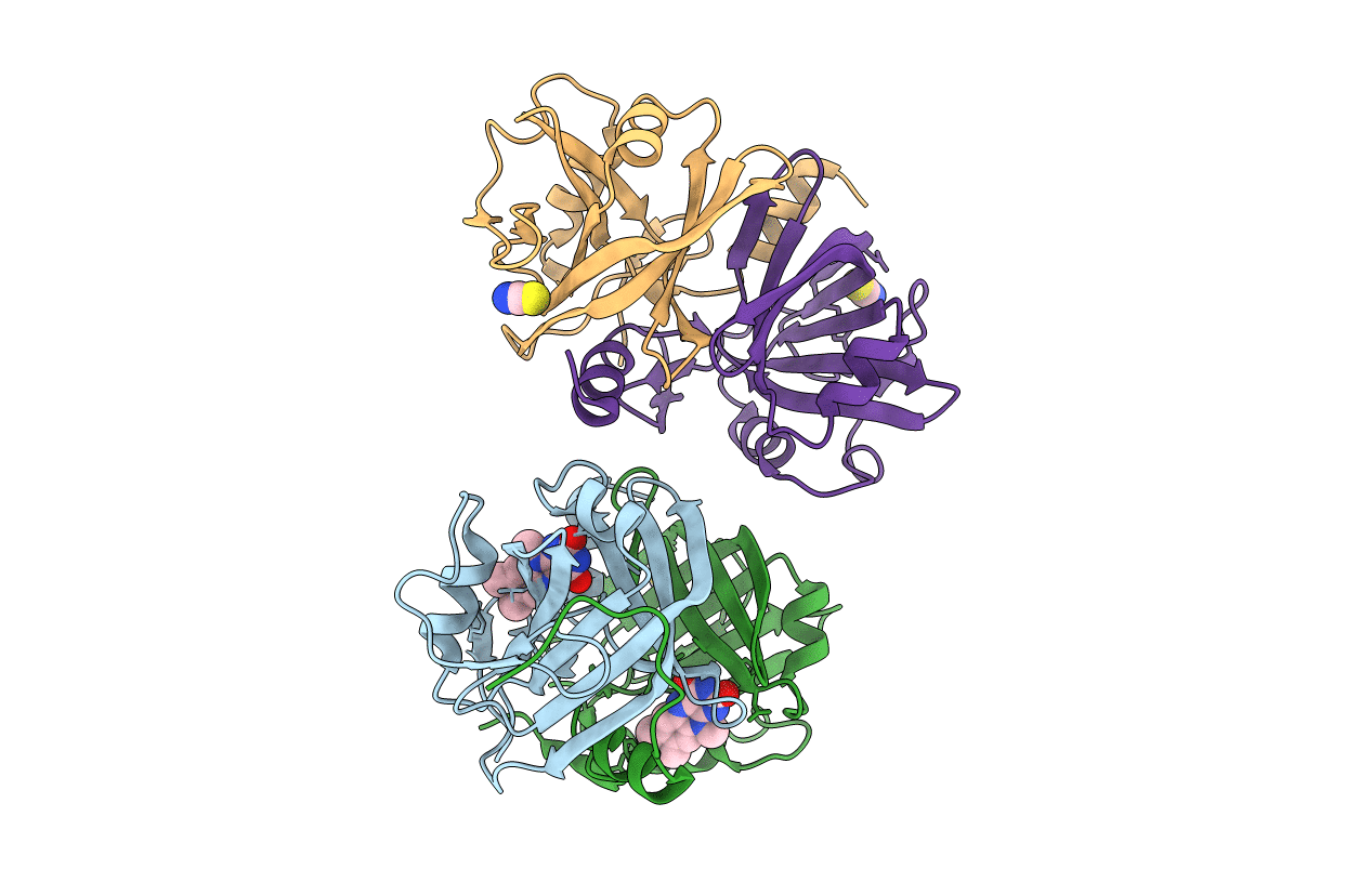 4L82 image