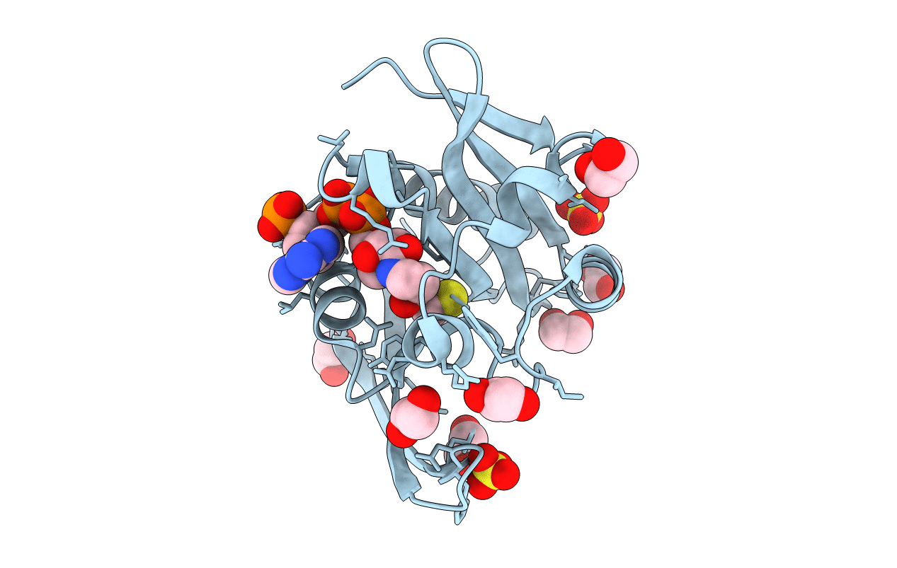 4L89 image