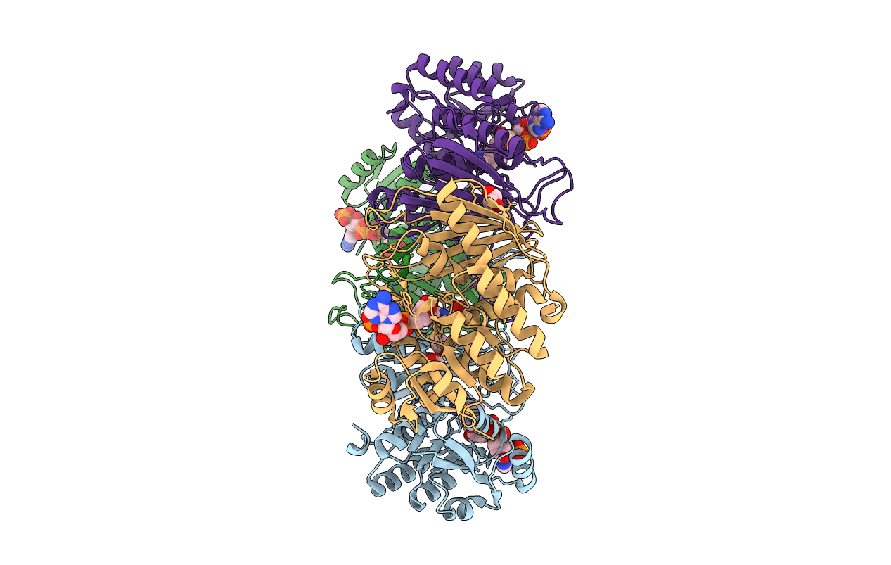 4L8V image