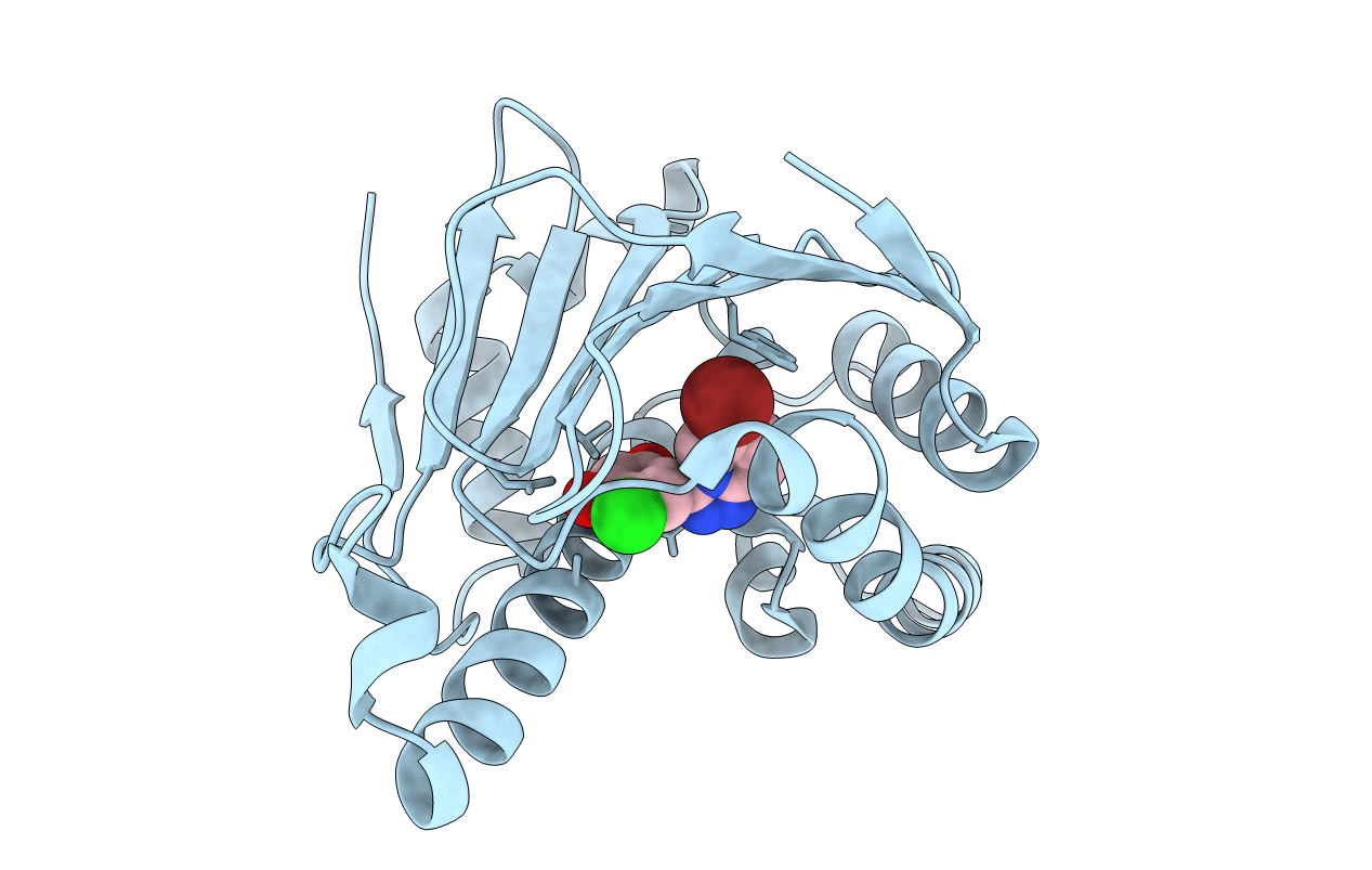 4L91 image