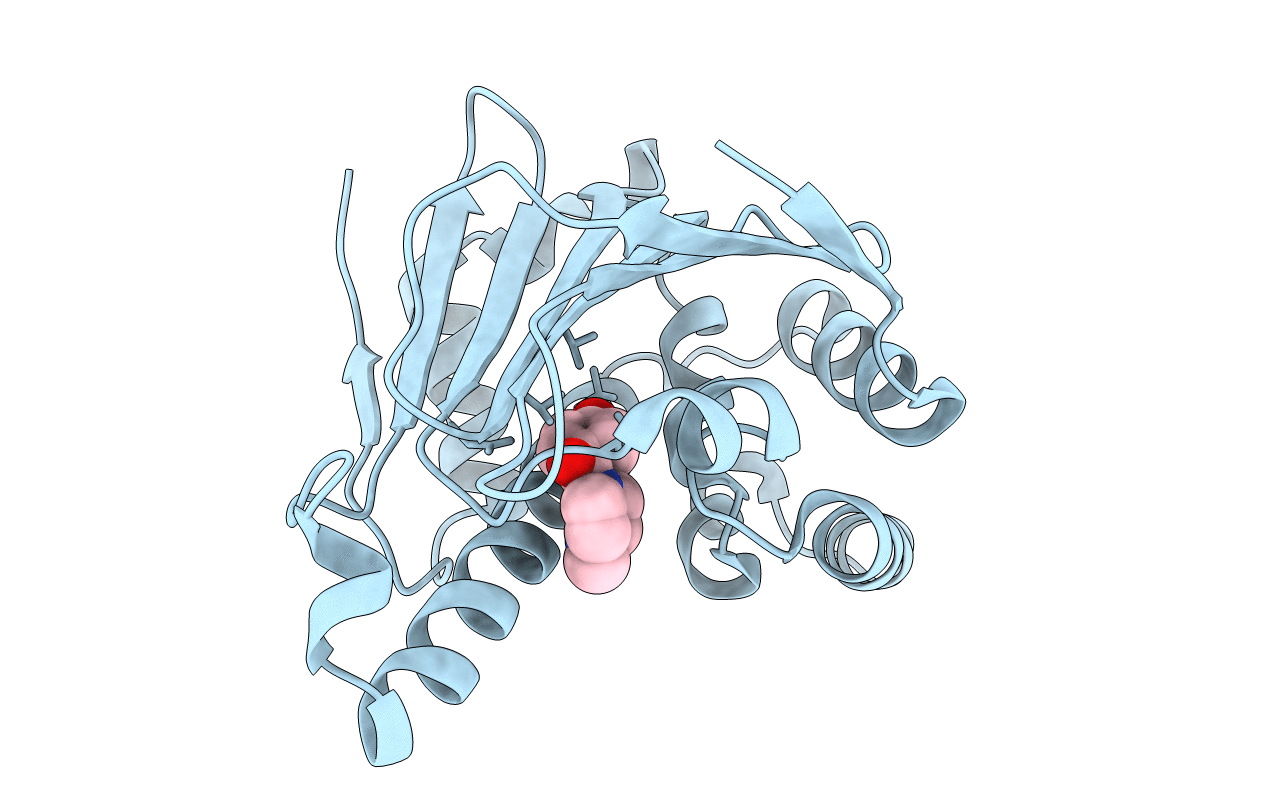 4L94 image