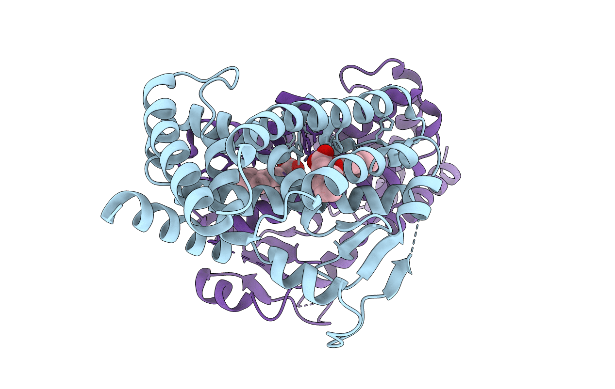 4L98 image