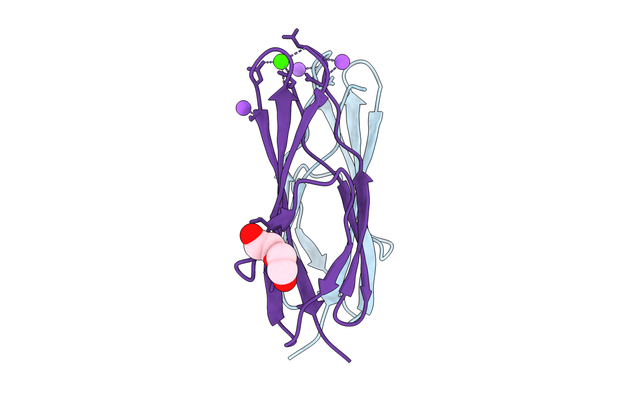 4L9D image