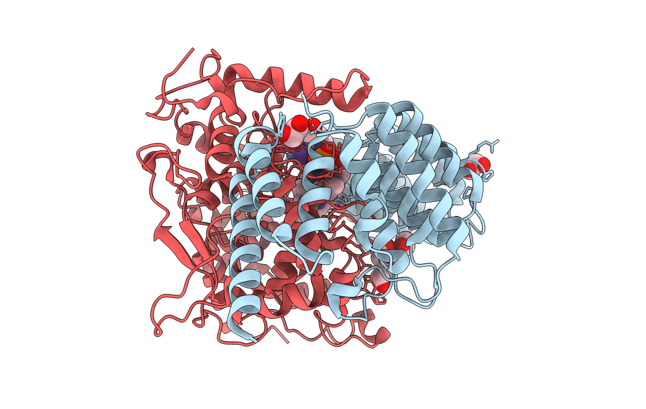 4L9P image