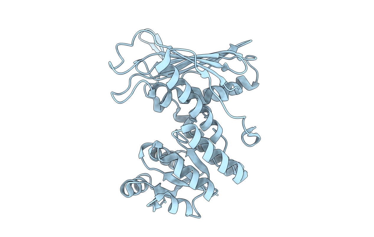 4L9R image