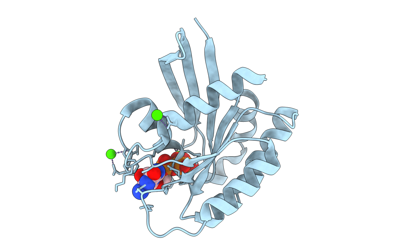 4L9W image