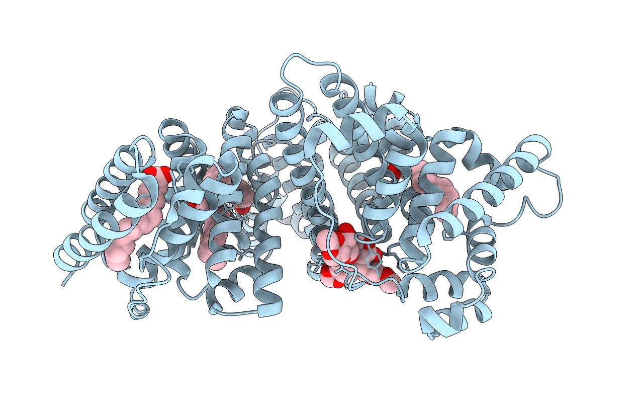 4LB9 image
