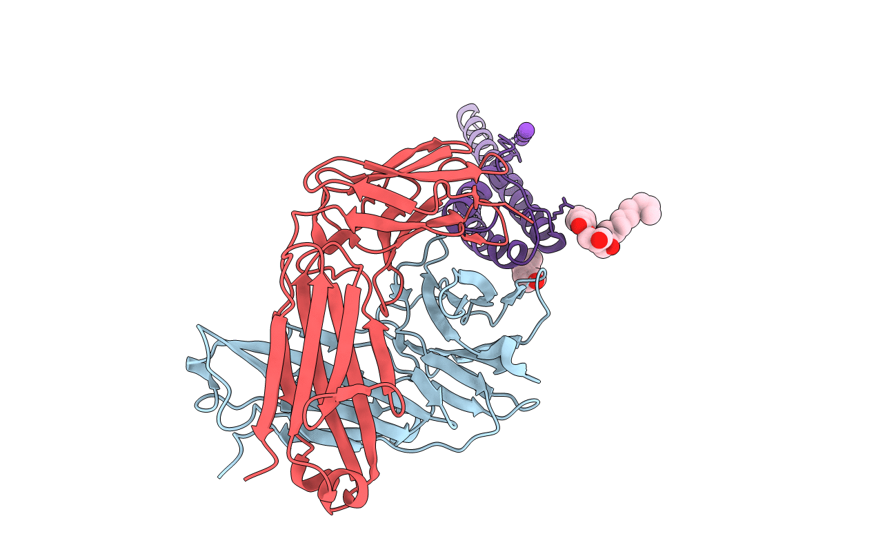 4LBE image