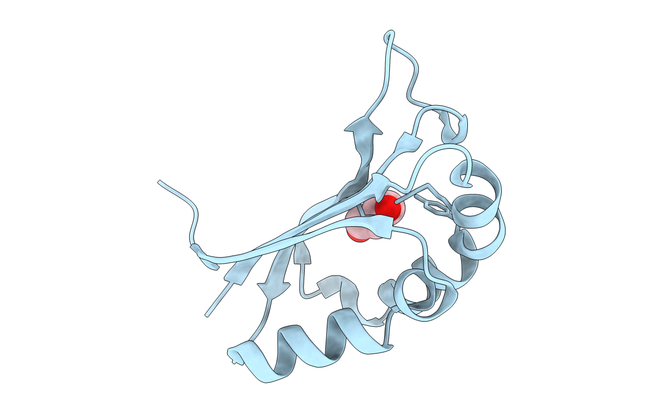 4LBH image