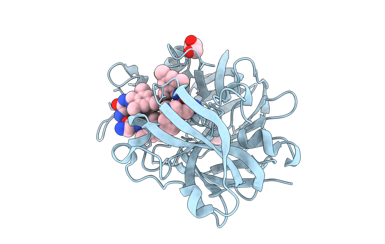 4LBT image