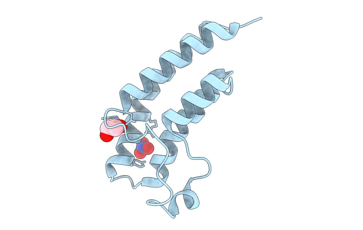4LC2 image