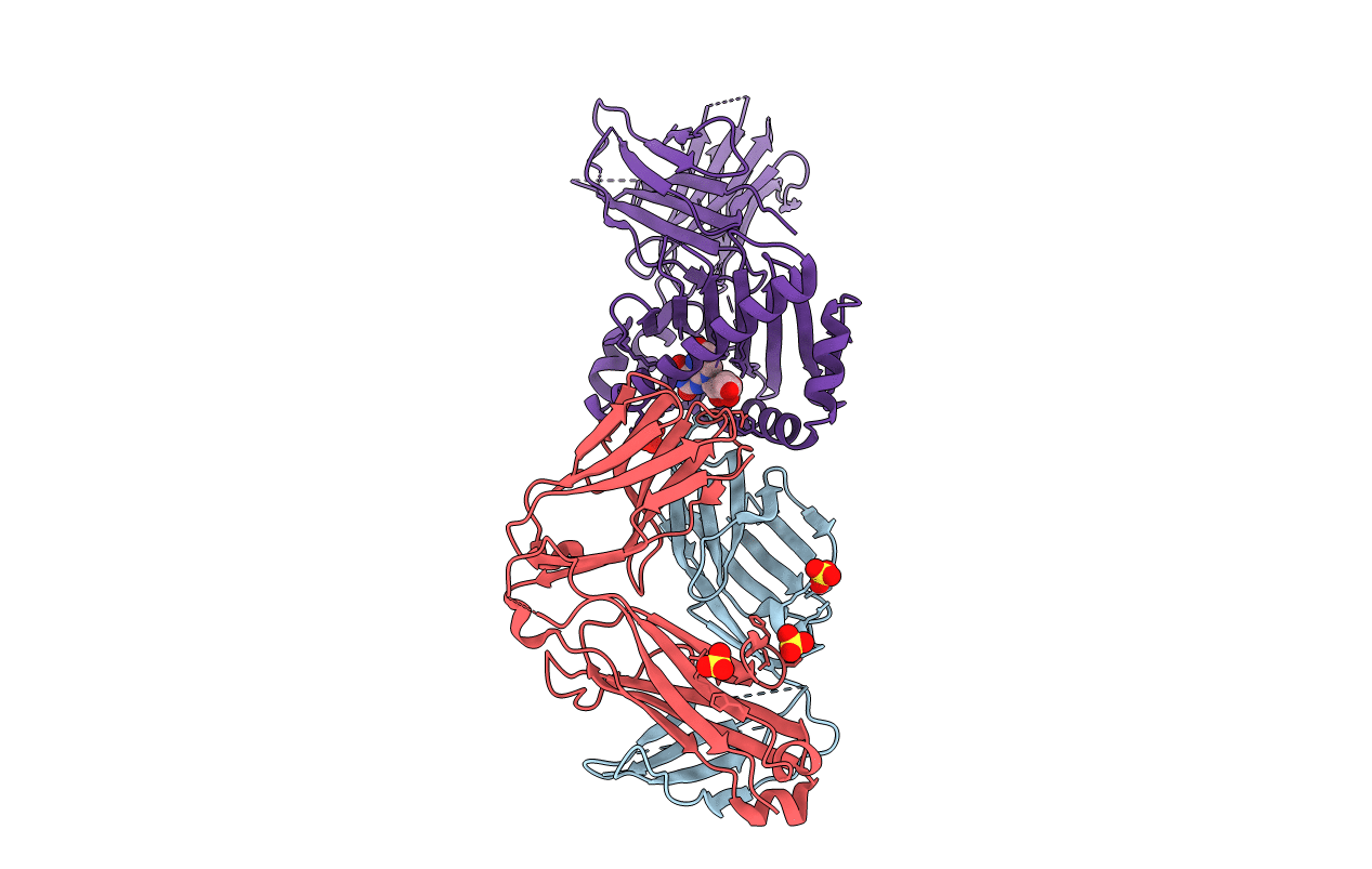 4LCC image