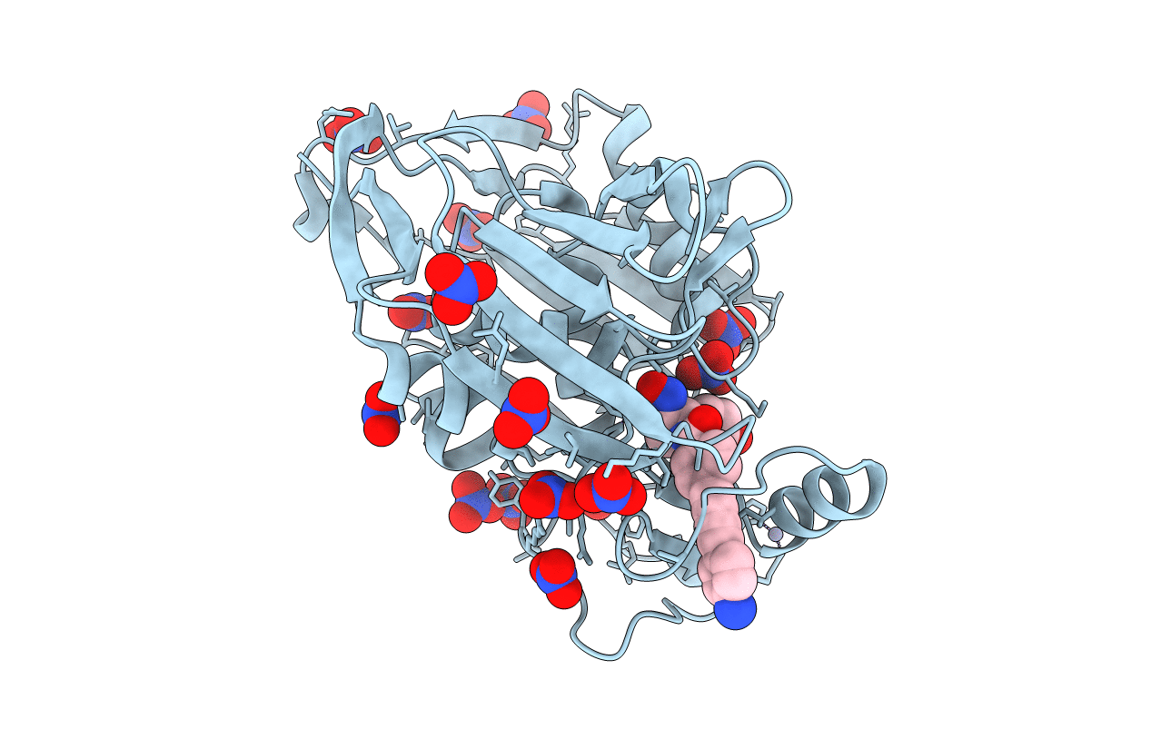 4LCH image