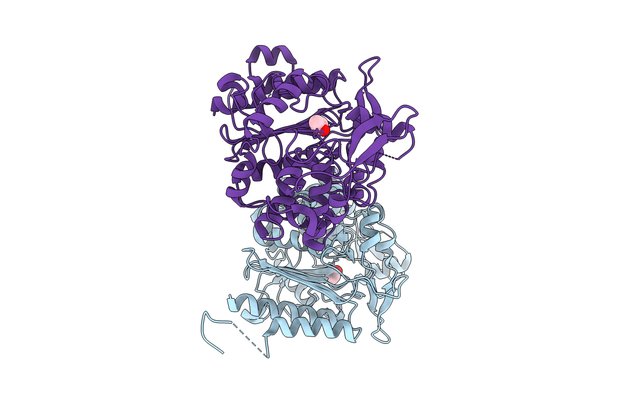 4LCL image