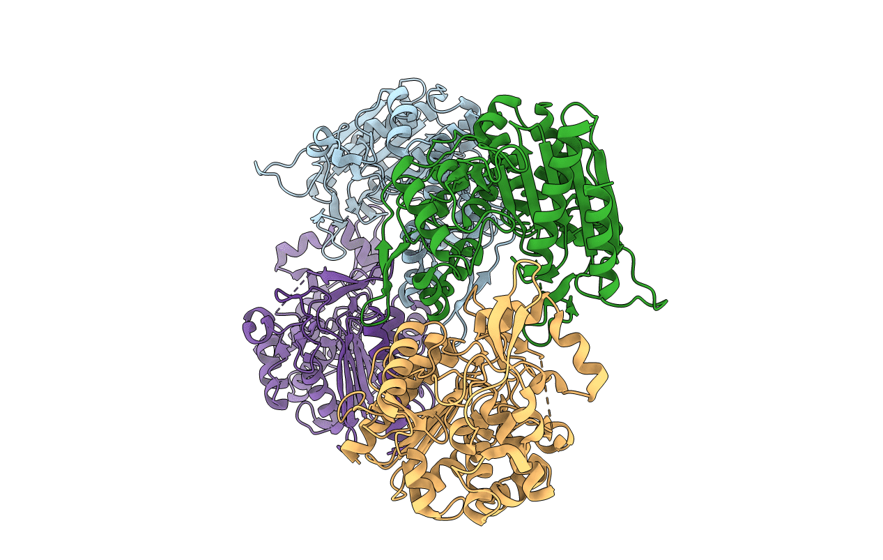 4LCM image
