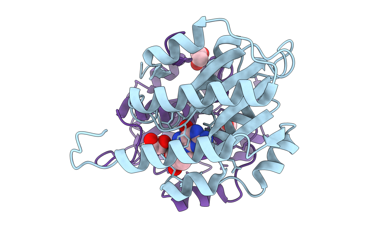 4LCN image