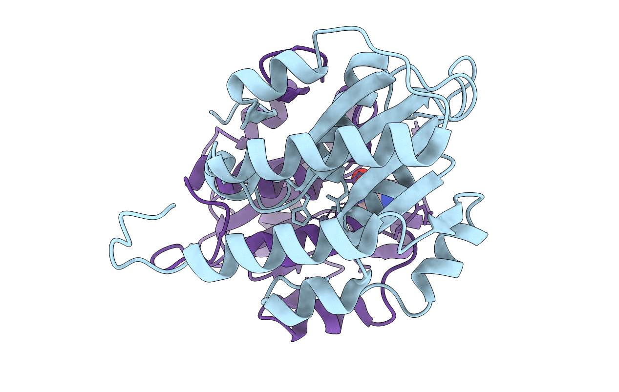 4LCO image