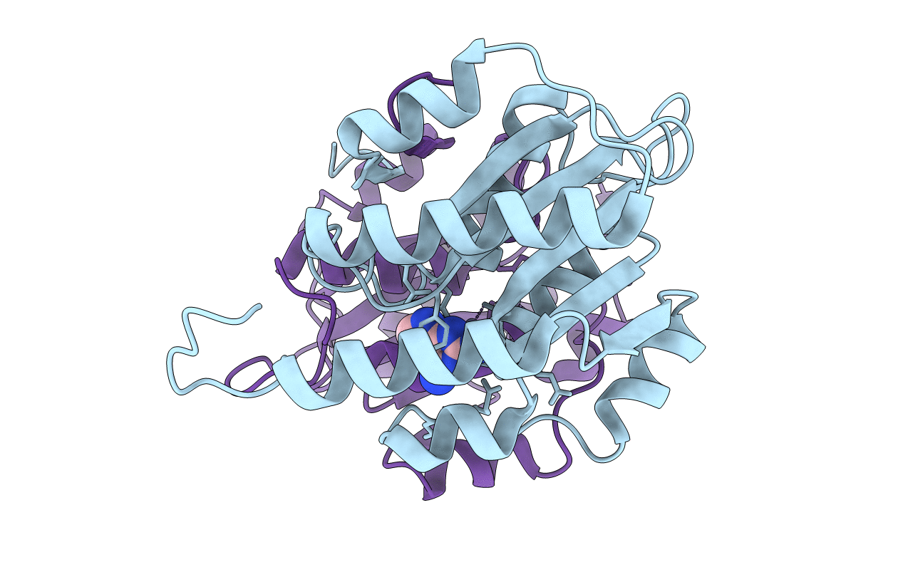 4LCP image