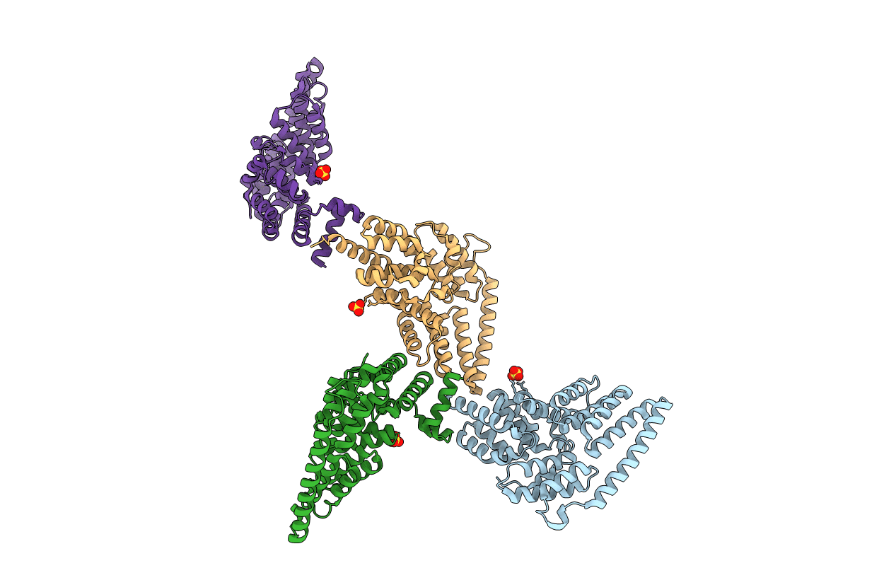 4LCT image