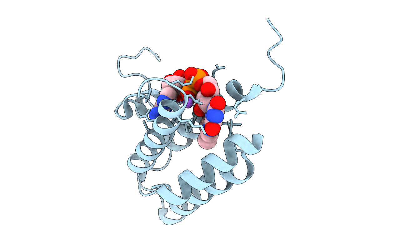 4LDK image