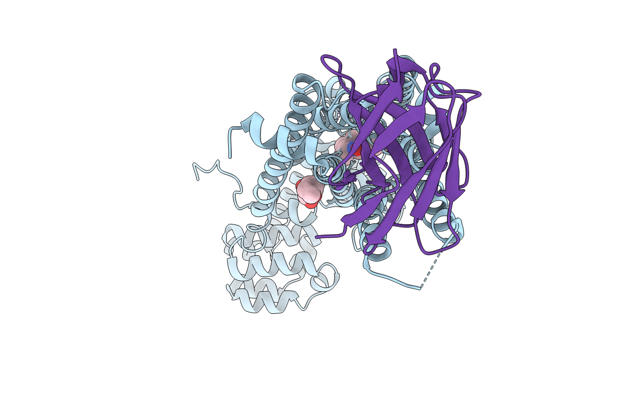 4LDL image