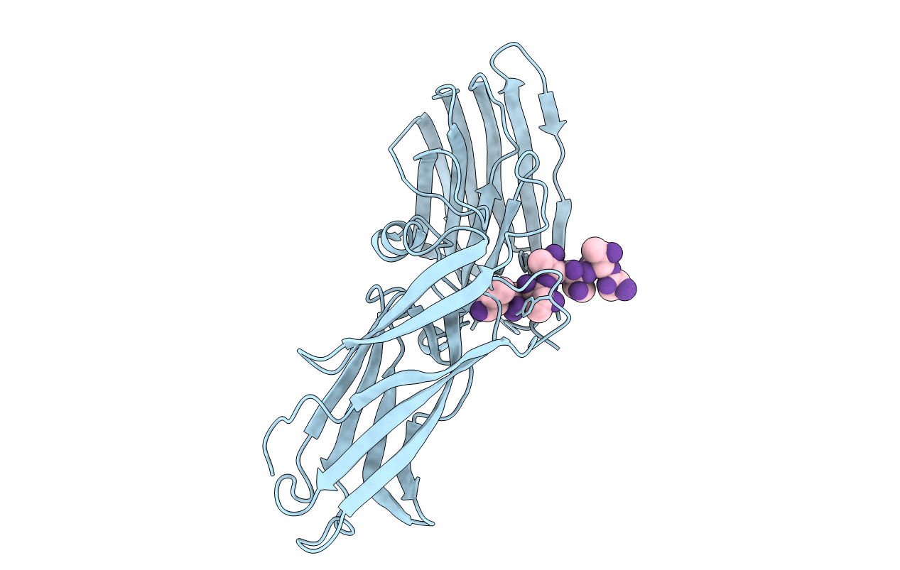 4LEB image