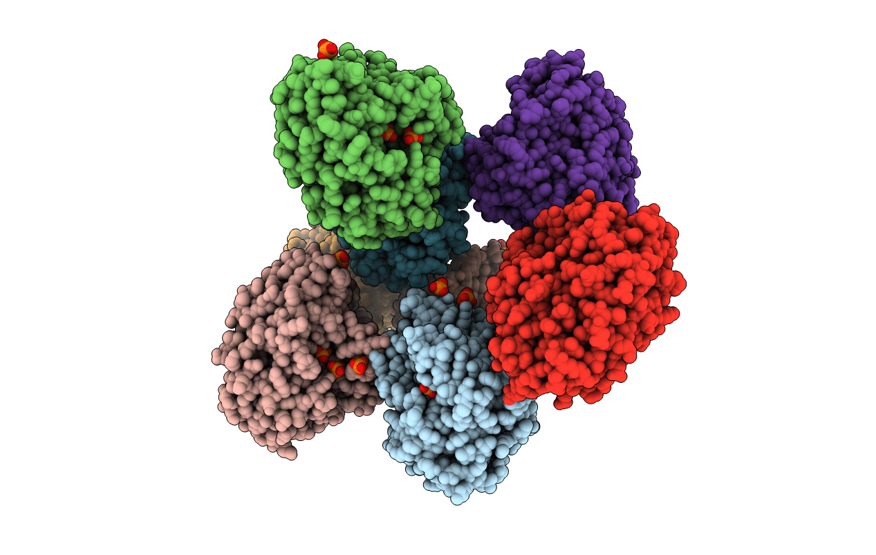 4LEF image