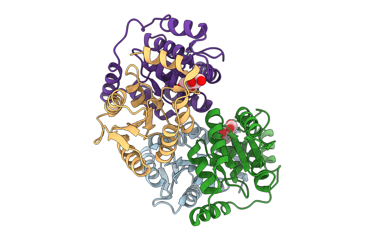 4LFN image
