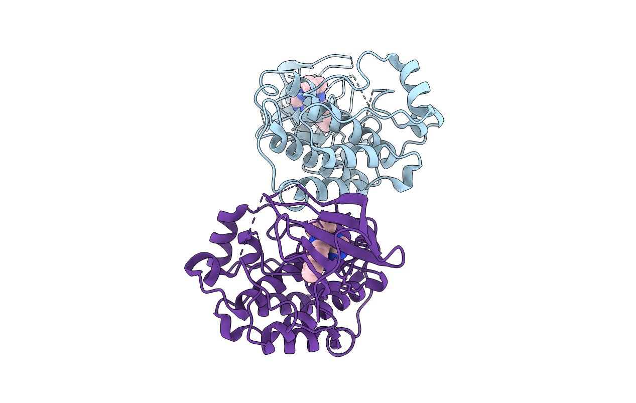 4LGH image