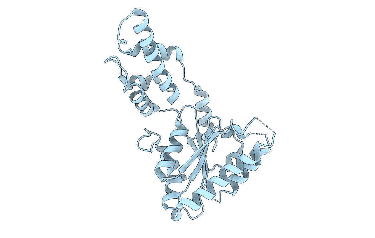 4LGM image