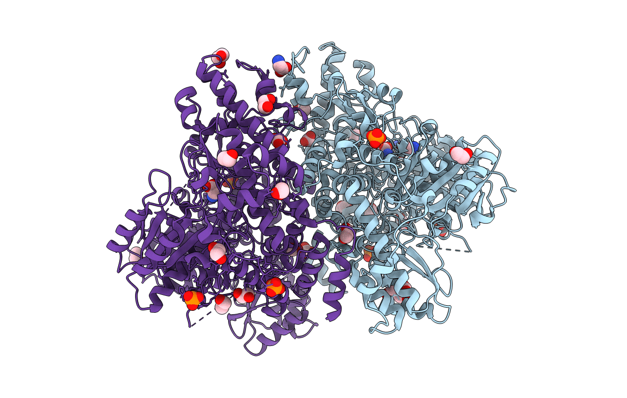 4LHC image