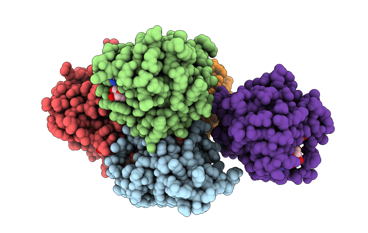 4LHW image