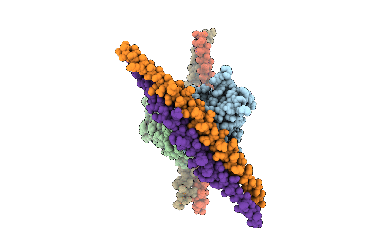 4LHX image