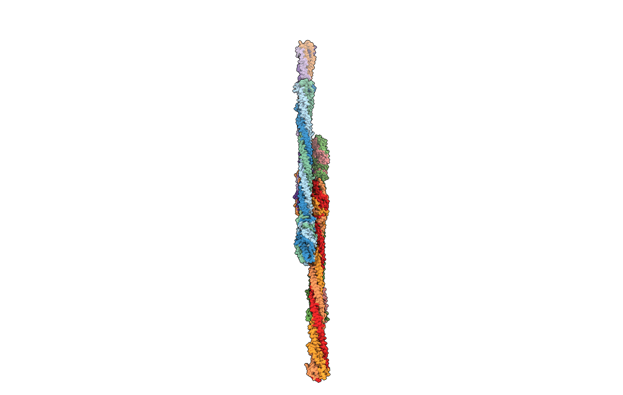 4LIN image