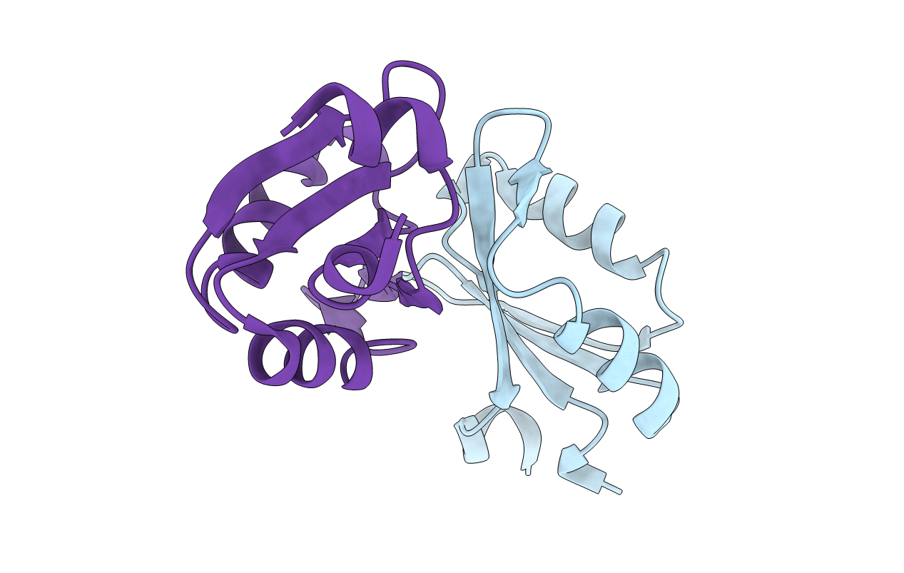 4LIR image