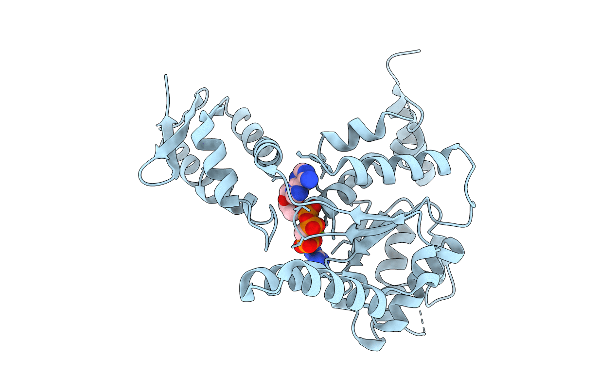 4LJA image