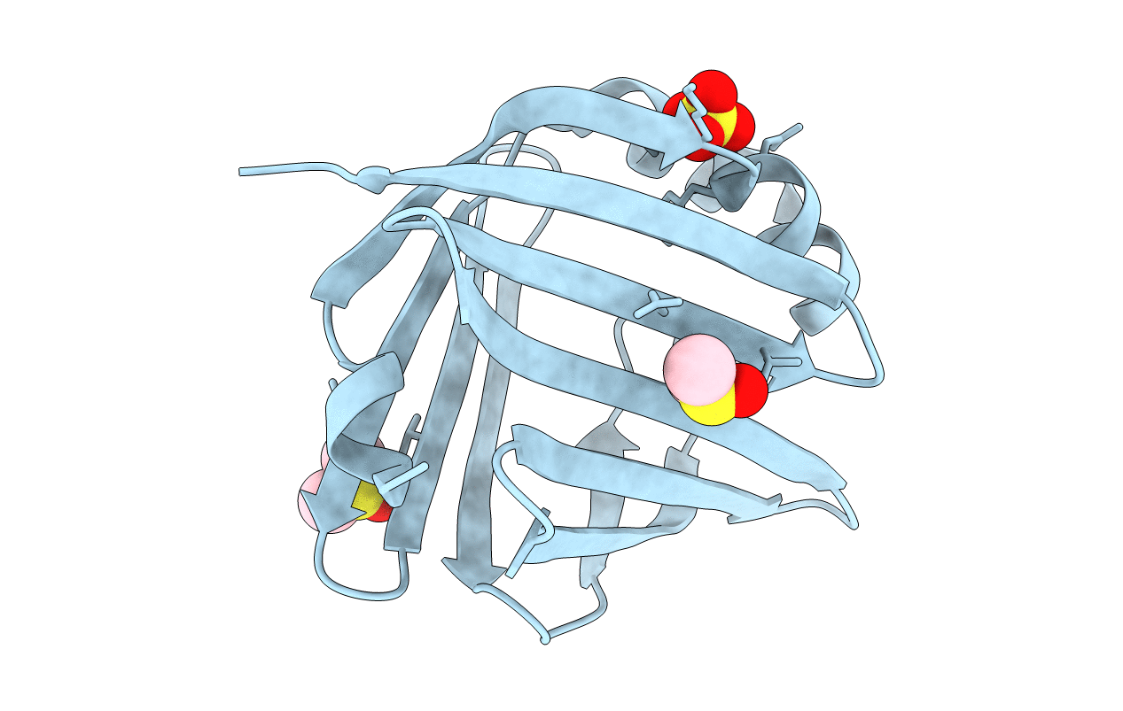 4LKP image