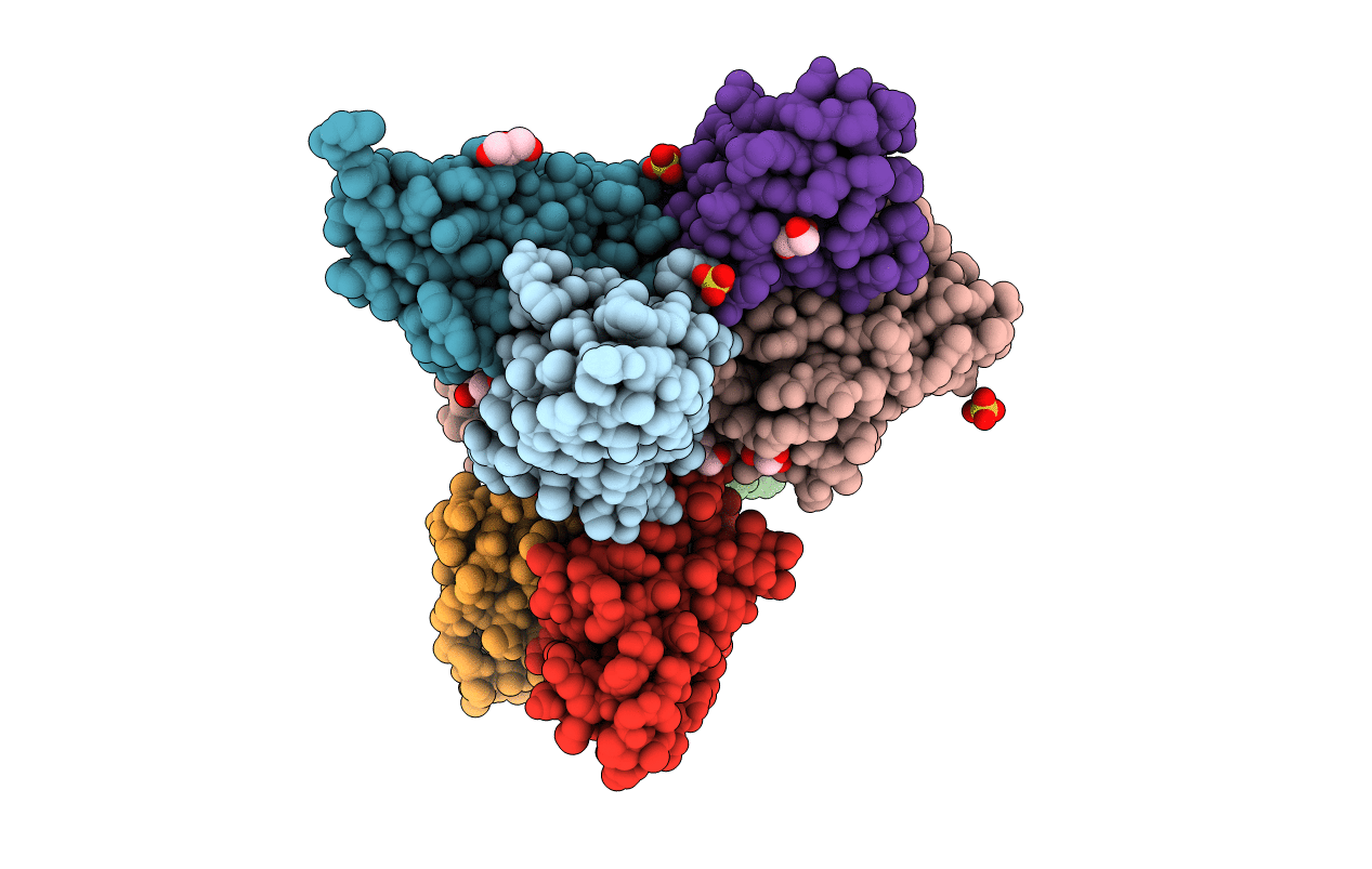 4LLV image