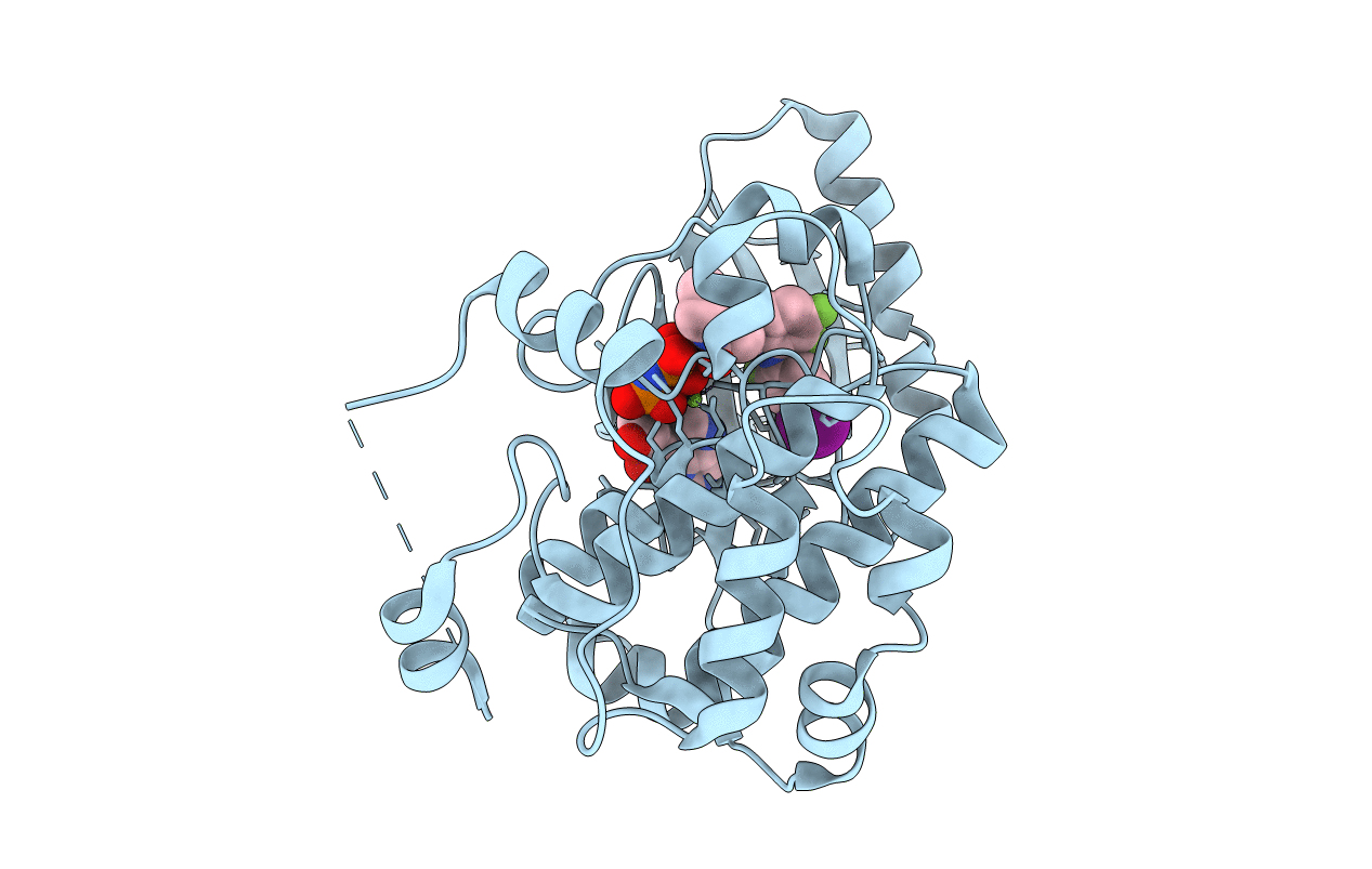 4LMN image